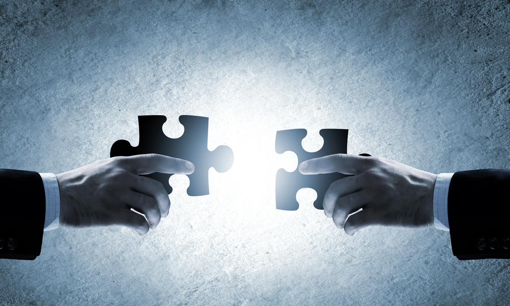 Driven by Curiosity: Making Sense of the Data Puzzle